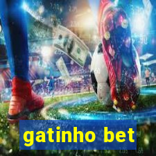 gatinho bet